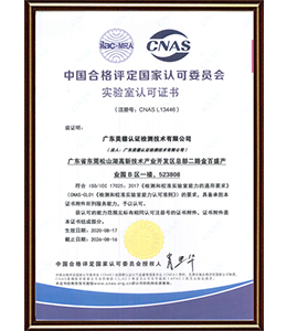 中国CNAS L13446资质中文版