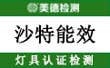 沙特能效.jpg