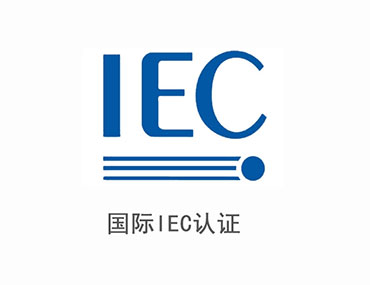 关于国际IEC报告，您知道多少？