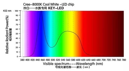 LED检测05.jpg