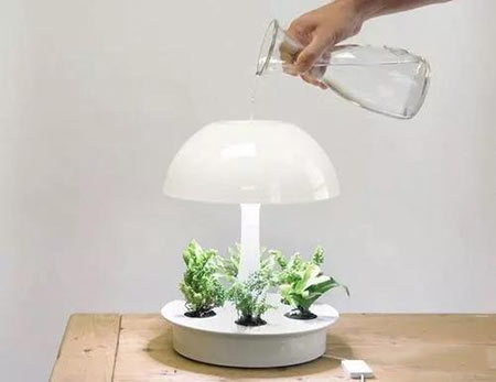 植物灯2.jpg